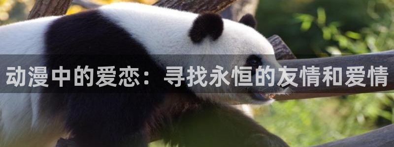 78动漫网页版登录入口