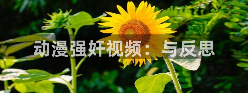 78动漫网打不开