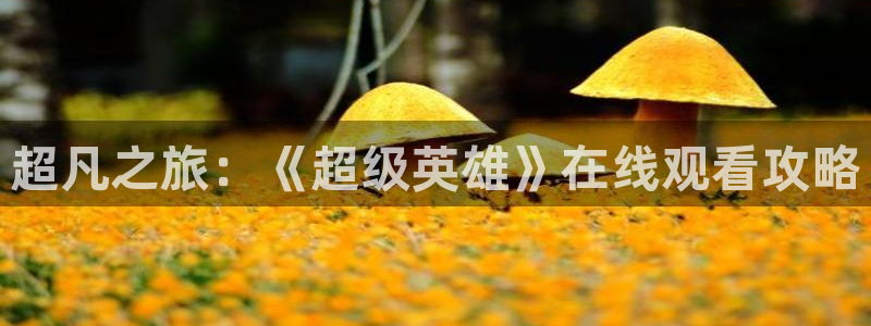 78动漫app：超凡之旅：《超级英雄》在线观看攻略